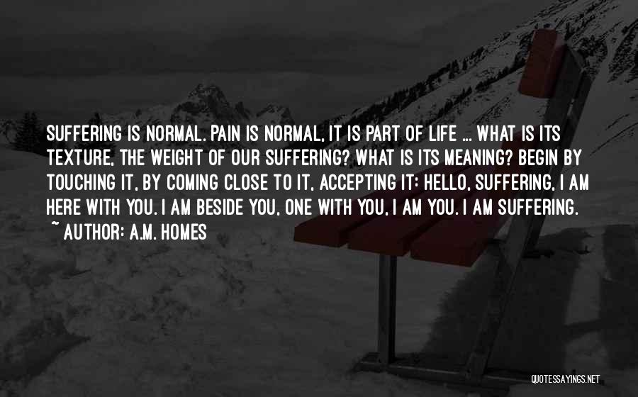 A.M. Homes Quotes: Suffering Is Normal. Pain Is Normal, It Is Part Of Life ... What Is Its Texture, The Weight Of Our