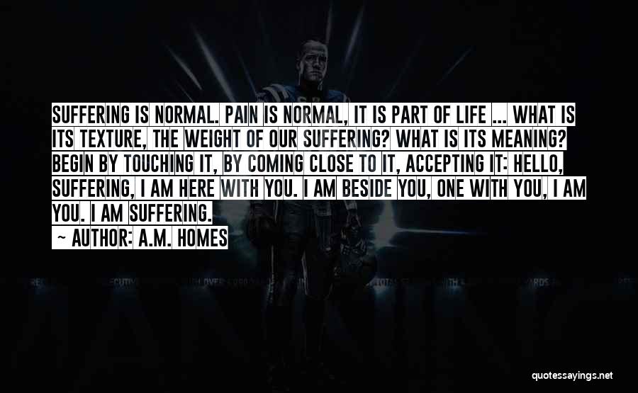 A.M. Homes Quotes: Suffering Is Normal. Pain Is Normal, It Is Part Of Life ... What Is Its Texture, The Weight Of Our