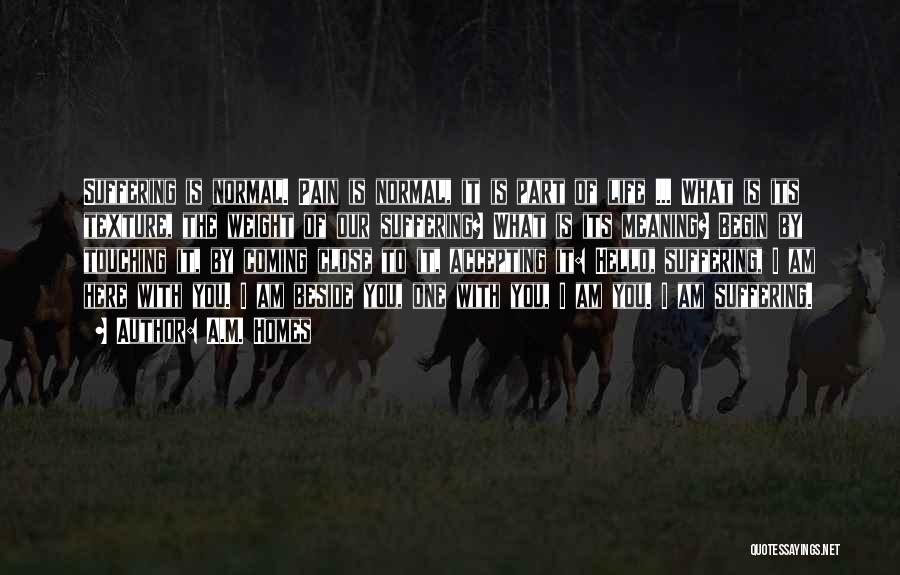 A.M. Homes Quotes: Suffering Is Normal. Pain Is Normal, It Is Part Of Life ... What Is Its Texture, The Weight Of Our
