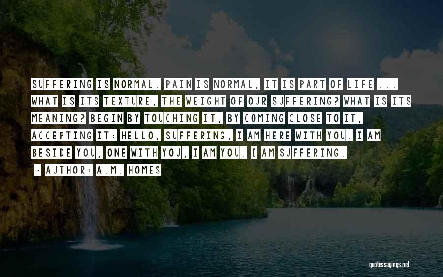 A.M. Homes Quotes: Suffering Is Normal. Pain Is Normal, It Is Part Of Life ... What Is Its Texture, The Weight Of Our