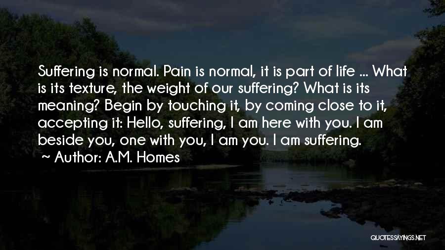 A.M. Homes Quotes: Suffering Is Normal. Pain Is Normal, It Is Part Of Life ... What Is Its Texture, The Weight Of Our