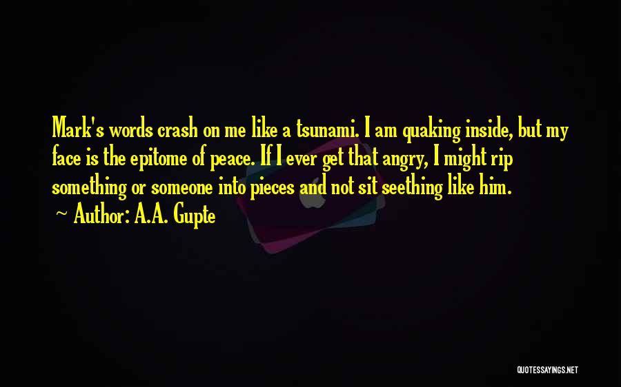 A.A. Gupte Quotes: Mark's Words Crash On Me Like A Tsunami. I Am Quaking Inside, But My Face Is The Epitome Of Peace.