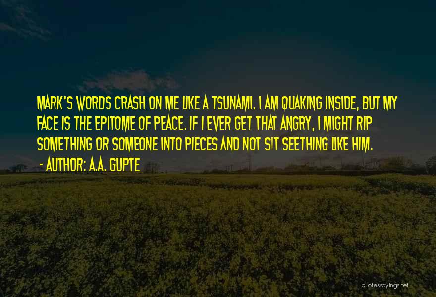 A.A. Gupte Quotes: Mark's Words Crash On Me Like A Tsunami. I Am Quaking Inside, But My Face Is The Epitome Of Peace.