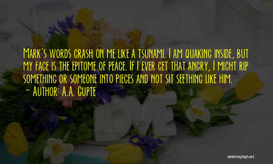 A.A. Gupte Quotes: Mark's Words Crash On Me Like A Tsunami. I Am Quaking Inside, But My Face Is The Epitome Of Peace.