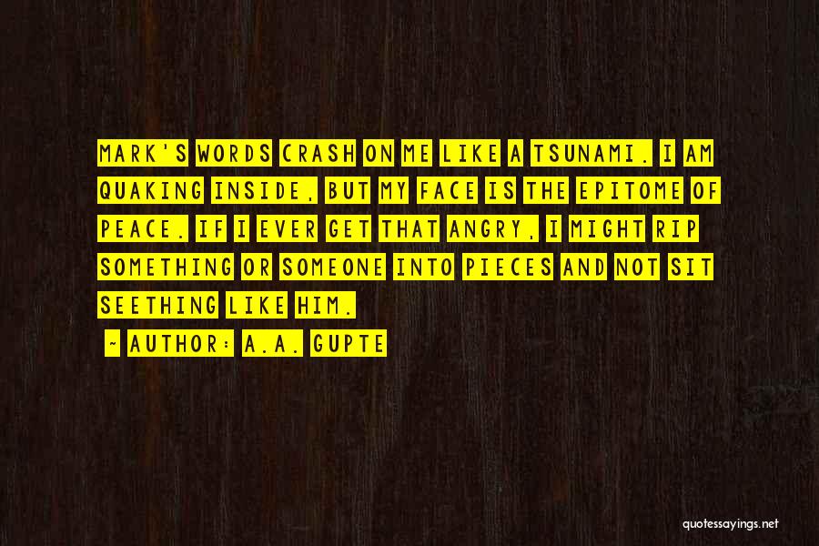 A.A. Gupte Quotes: Mark's Words Crash On Me Like A Tsunami. I Am Quaking Inside, But My Face Is The Epitome Of Peace.