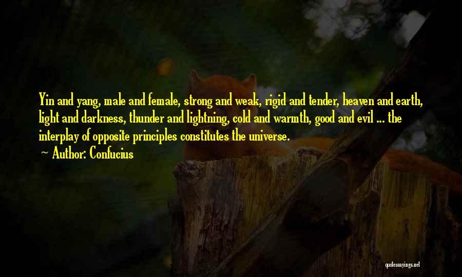 Confucius Quotes: Yin And Yang, Male And Female, Strong And Weak, Rigid And Tender, Heaven And Earth, Light And Darkness, Thunder And