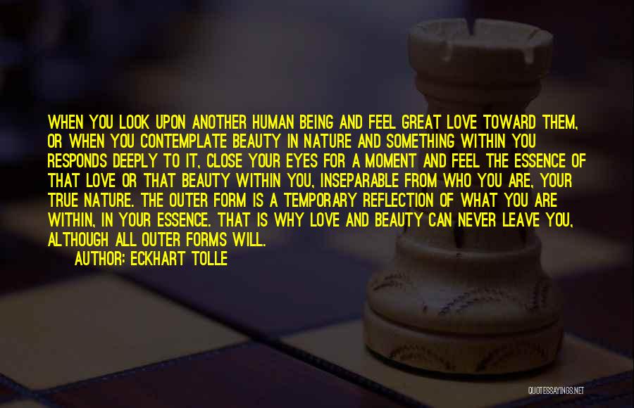 Eckhart Tolle Quotes: When You Look Upon Another Human Being And Feel Great Love Toward Them, Or When You Contemplate Beauty In Nature