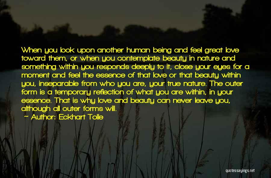 Eckhart Tolle Quotes: When You Look Upon Another Human Being And Feel Great Love Toward Them, Or When You Contemplate Beauty In Nature