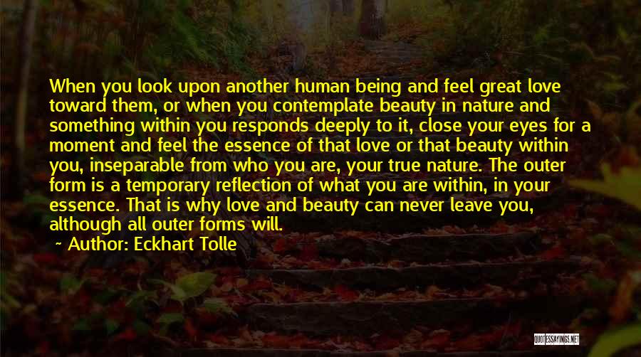 Eckhart Tolle Quotes: When You Look Upon Another Human Being And Feel Great Love Toward Them, Or When You Contemplate Beauty In Nature