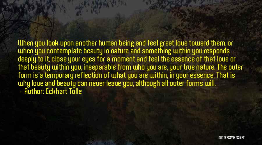 Eckhart Tolle Quotes: When You Look Upon Another Human Being And Feel Great Love Toward Them, Or When You Contemplate Beauty In Nature