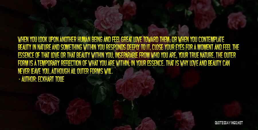 Eckhart Tolle Quotes: When You Look Upon Another Human Being And Feel Great Love Toward Them, Or When You Contemplate Beauty In Nature