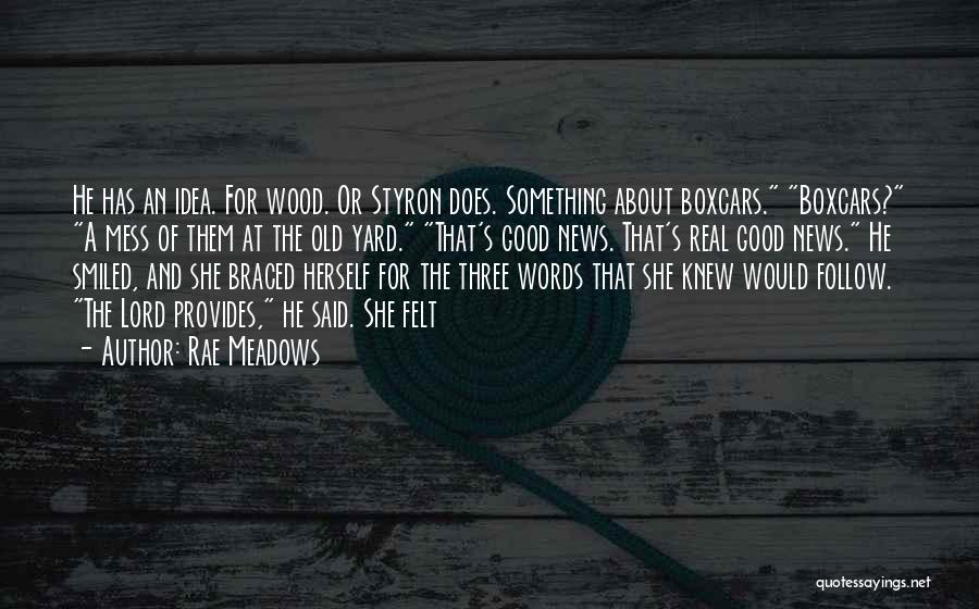 Rae Meadows Quotes: He Has An Idea. For Wood. Or Styron Does. Something About Boxcars. Boxcars? A Mess Of Them At The Old