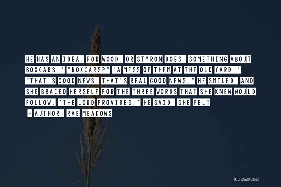 Rae Meadows Quotes: He Has An Idea. For Wood. Or Styron Does. Something About Boxcars. Boxcars? A Mess Of Them At The Old
