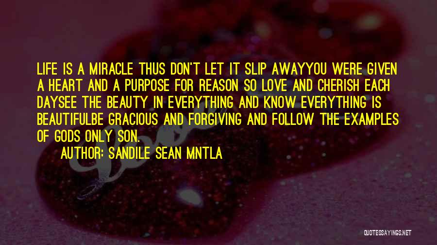 Sandile Sean Mntla Quotes: Life Is A Miracle Thus Don't Let It Slip Awayyou Were Given A Heart And A Purpose For Reason So