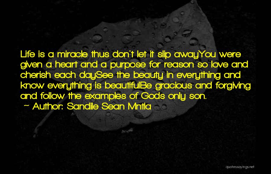 Sandile Sean Mntla Quotes: Life Is A Miracle Thus Don't Let It Slip Awayyou Were Given A Heart And A Purpose For Reason So