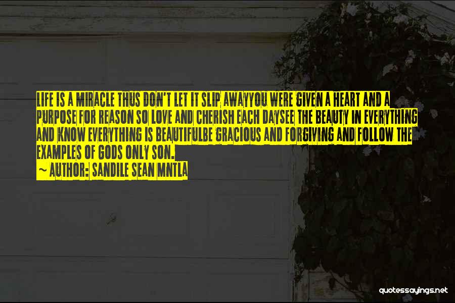 Sandile Sean Mntla Quotes: Life Is A Miracle Thus Don't Let It Slip Awayyou Were Given A Heart And A Purpose For Reason So