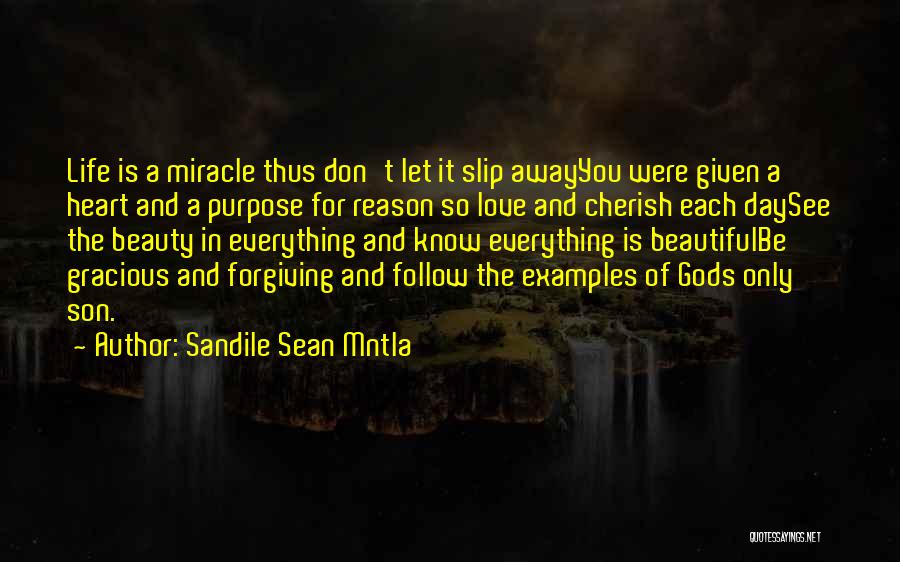 Sandile Sean Mntla Quotes: Life Is A Miracle Thus Don't Let It Slip Awayyou Were Given A Heart And A Purpose For Reason So