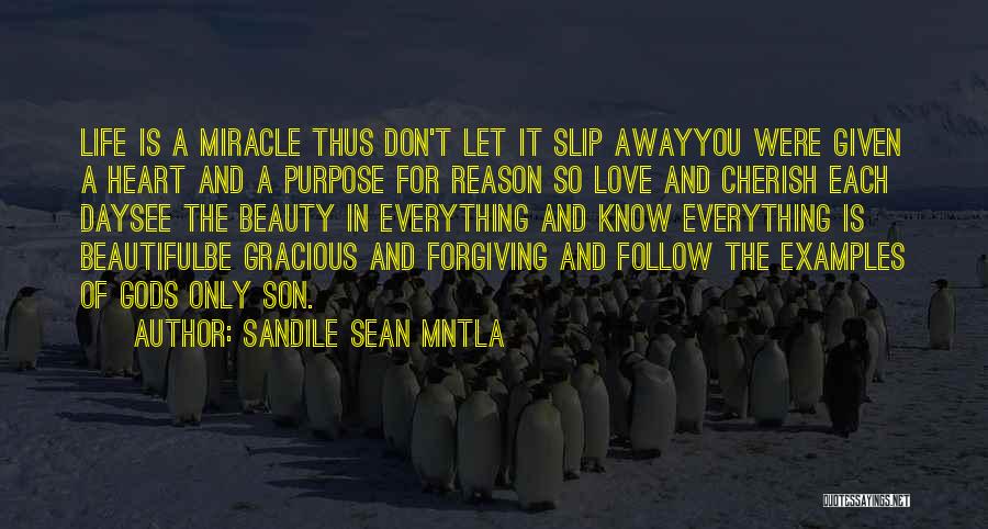 Sandile Sean Mntla Quotes: Life Is A Miracle Thus Don't Let It Slip Awayyou Were Given A Heart And A Purpose For Reason So