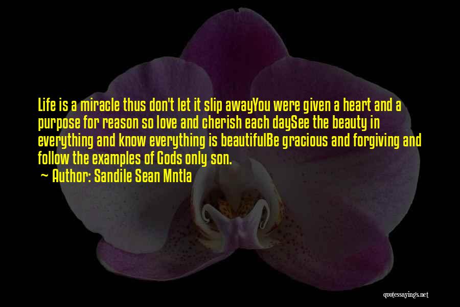 Sandile Sean Mntla Quotes: Life Is A Miracle Thus Don't Let It Slip Awayyou Were Given A Heart And A Purpose For Reason So