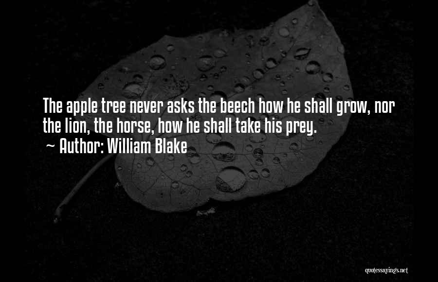 William Blake Quotes: The Apple Tree Never Asks The Beech How He Shall Grow, Nor The Lion, The Horse, How He Shall Take