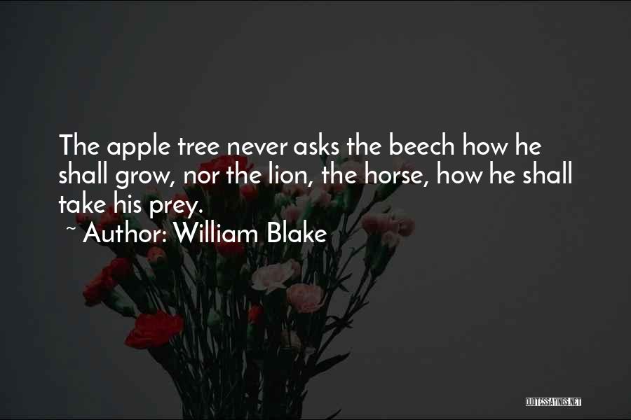 William Blake Quotes: The Apple Tree Never Asks The Beech How He Shall Grow, Nor The Lion, The Horse, How He Shall Take