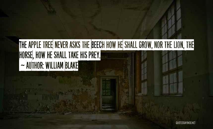 William Blake Quotes: The Apple Tree Never Asks The Beech How He Shall Grow, Nor The Lion, The Horse, How He Shall Take