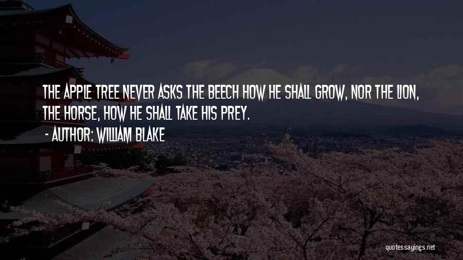 William Blake Quotes: The Apple Tree Never Asks The Beech How He Shall Grow, Nor The Lion, The Horse, How He Shall Take