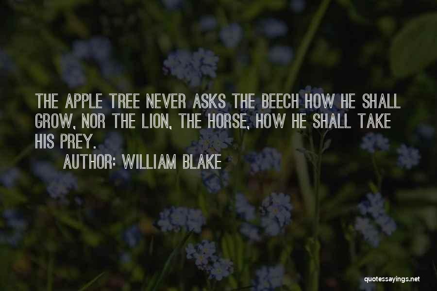 William Blake Quotes: The Apple Tree Never Asks The Beech How He Shall Grow, Nor The Lion, The Horse, How He Shall Take