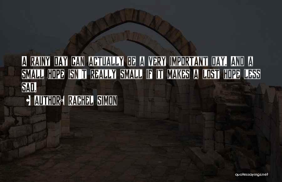 Rachel Simon Quotes: A Rainy Day Can Actually Be A Very Important Day. And A Small Hope Isn't Really Small If It Makes