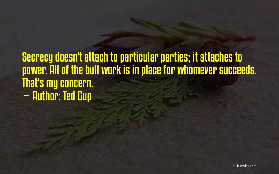 Ted Gup Quotes: Secrecy Doesn't Attach To Particular Parties; It Attaches To Power. All Of The Bull Work Is In Place For Whomever