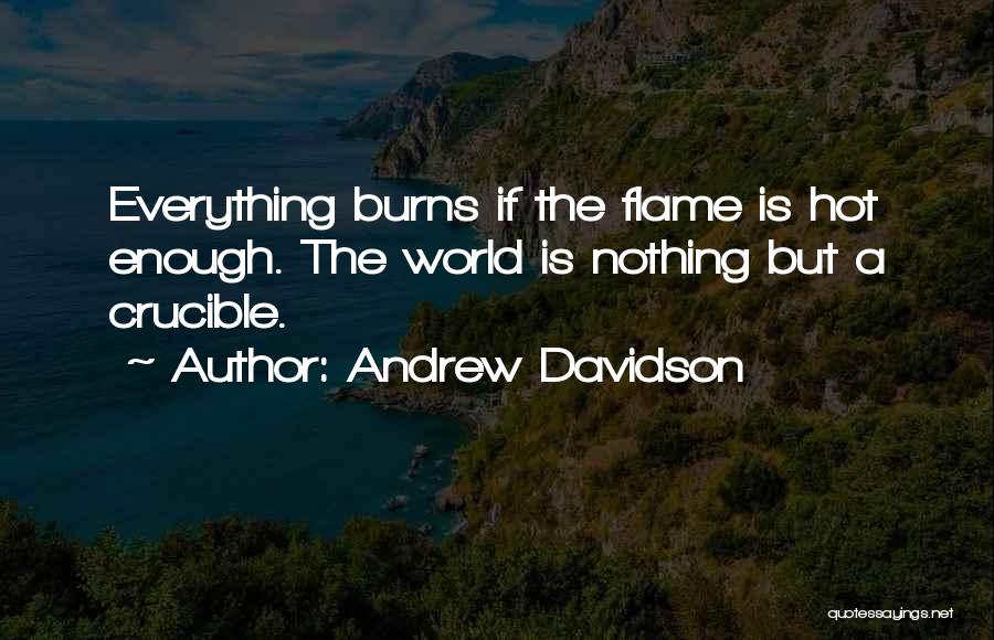 Andrew Davidson Quotes: Everything Burns If The Flame Is Hot Enough. The World Is Nothing But A Crucible.