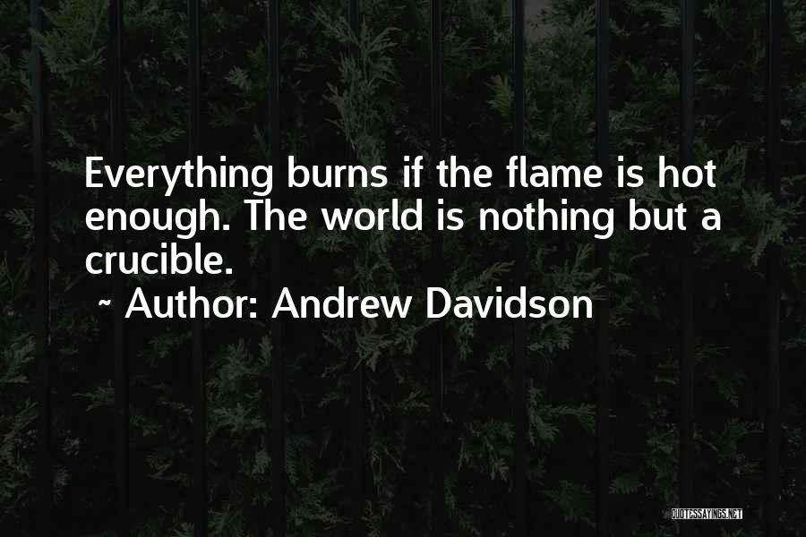 Andrew Davidson Quotes: Everything Burns If The Flame Is Hot Enough. The World Is Nothing But A Crucible.