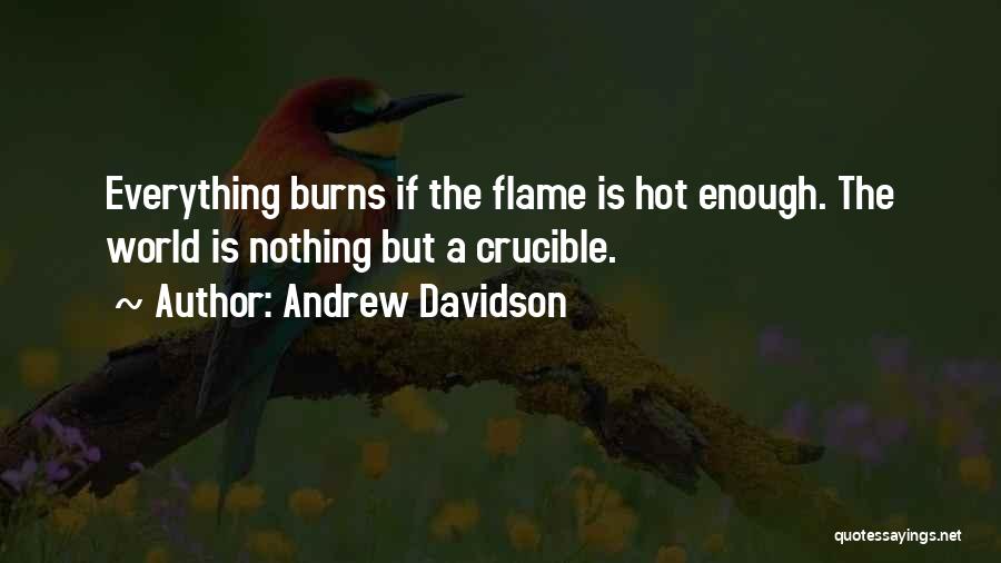 Andrew Davidson Quotes: Everything Burns If The Flame Is Hot Enough. The World Is Nothing But A Crucible.