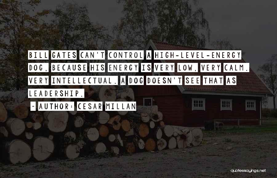 Cesar Millan Quotes: Bill Gates Can't Control A High-level-energy Dog, Because His Energy Is Very Low, Very Calm. Very Intellectual. A Dog Doesn't