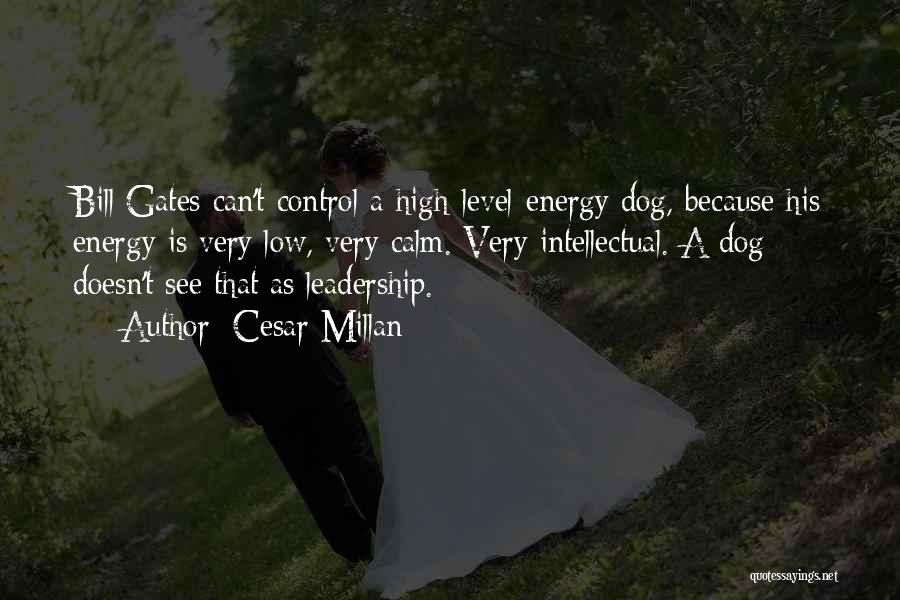 Cesar Millan Quotes: Bill Gates Can't Control A High-level-energy Dog, Because His Energy Is Very Low, Very Calm. Very Intellectual. A Dog Doesn't