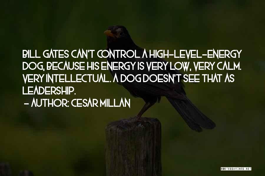 Cesar Millan Quotes: Bill Gates Can't Control A High-level-energy Dog, Because His Energy Is Very Low, Very Calm. Very Intellectual. A Dog Doesn't