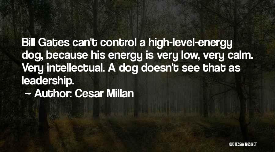 Cesar Millan Quotes: Bill Gates Can't Control A High-level-energy Dog, Because His Energy Is Very Low, Very Calm. Very Intellectual. A Dog Doesn't