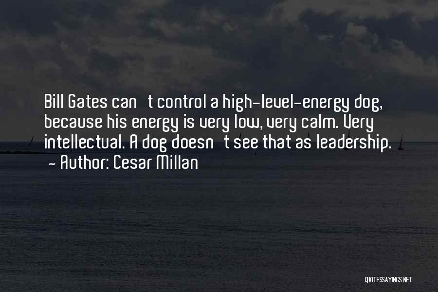 Cesar Millan Quotes: Bill Gates Can't Control A High-level-energy Dog, Because His Energy Is Very Low, Very Calm. Very Intellectual. A Dog Doesn't