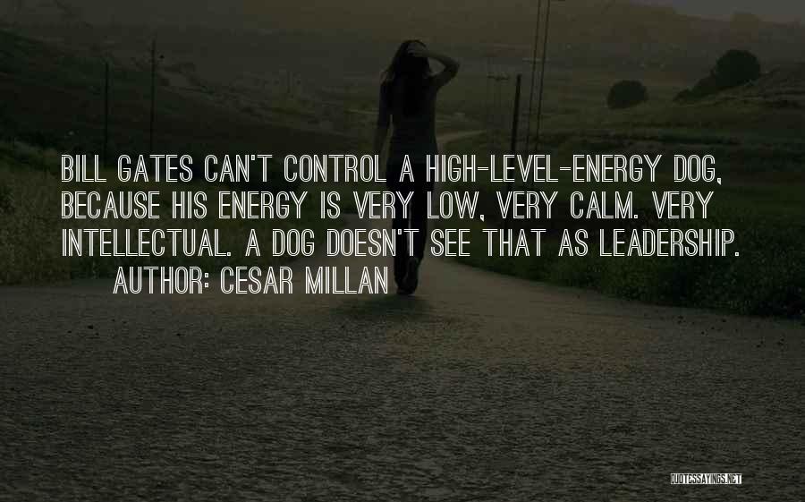 Cesar Millan Quotes: Bill Gates Can't Control A High-level-energy Dog, Because His Energy Is Very Low, Very Calm. Very Intellectual. A Dog Doesn't