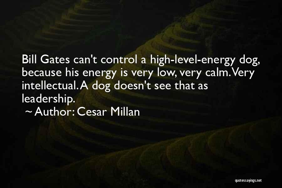 Cesar Millan Quotes: Bill Gates Can't Control A High-level-energy Dog, Because His Energy Is Very Low, Very Calm. Very Intellectual. A Dog Doesn't