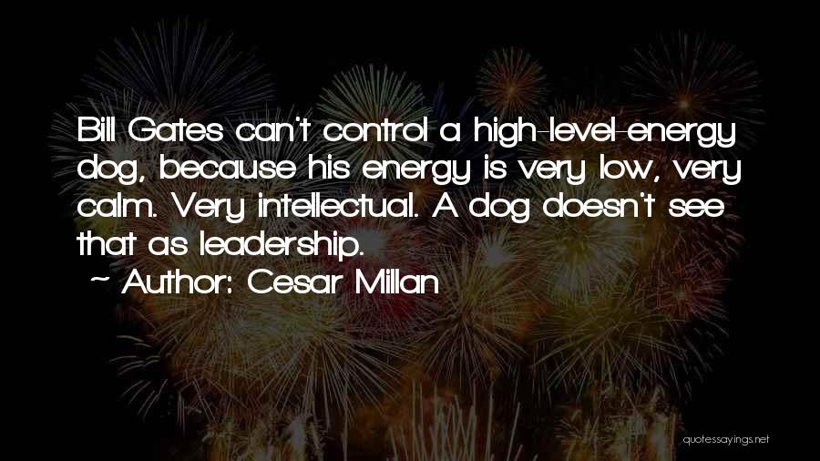 Cesar Millan Quotes: Bill Gates Can't Control A High-level-energy Dog, Because His Energy Is Very Low, Very Calm. Very Intellectual. A Dog Doesn't