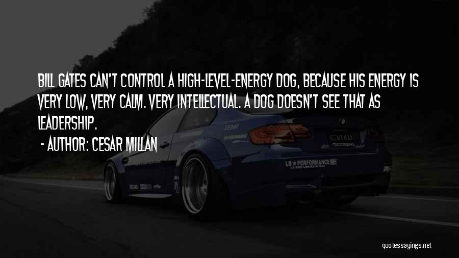 Cesar Millan Quotes: Bill Gates Can't Control A High-level-energy Dog, Because His Energy Is Very Low, Very Calm. Very Intellectual. A Dog Doesn't