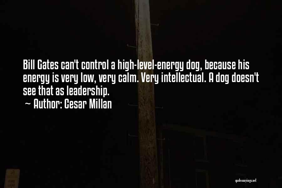 Cesar Millan Quotes: Bill Gates Can't Control A High-level-energy Dog, Because His Energy Is Very Low, Very Calm. Very Intellectual. A Dog Doesn't