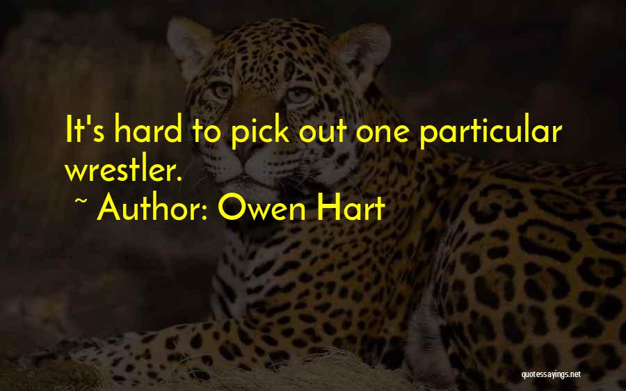 Owen Hart Quotes: It's Hard To Pick Out One Particular Wrestler.