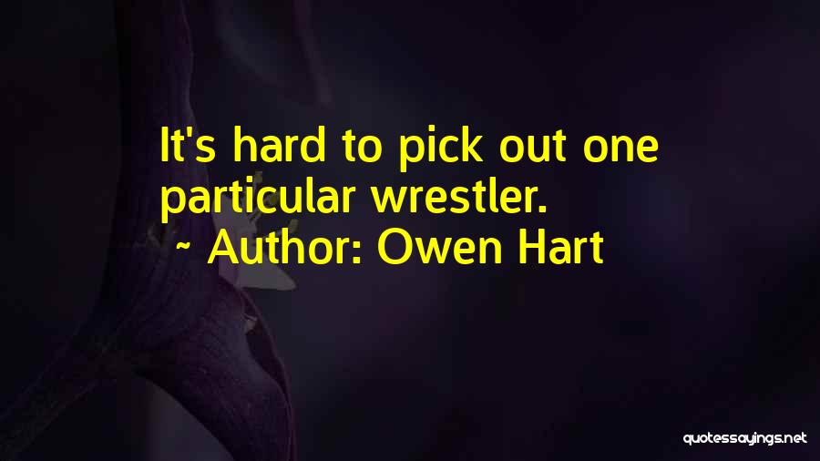 Owen Hart Quotes: It's Hard To Pick Out One Particular Wrestler.