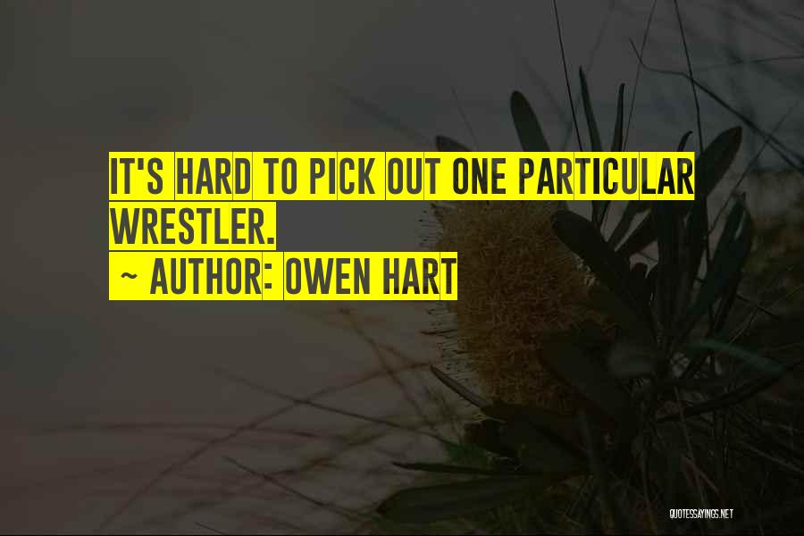 Owen Hart Quotes: It's Hard To Pick Out One Particular Wrestler.