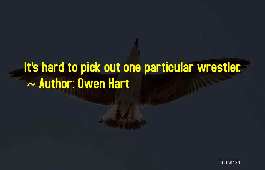 Owen Hart Quotes: It's Hard To Pick Out One Particular Wrestler.