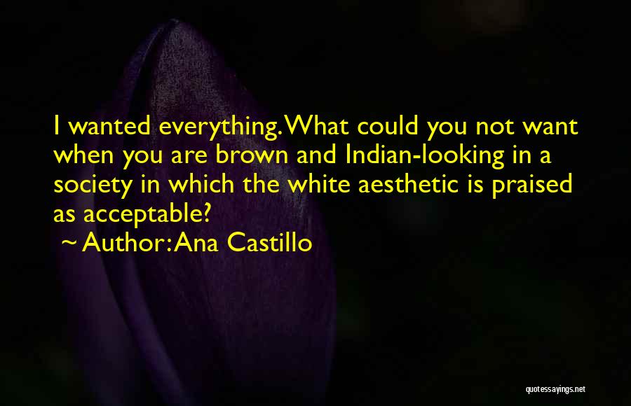 Ana Castillo Quotes: I Wanted Everything. What Could You Not Want When You Are Brown And Indian-looking In A Society In Which The