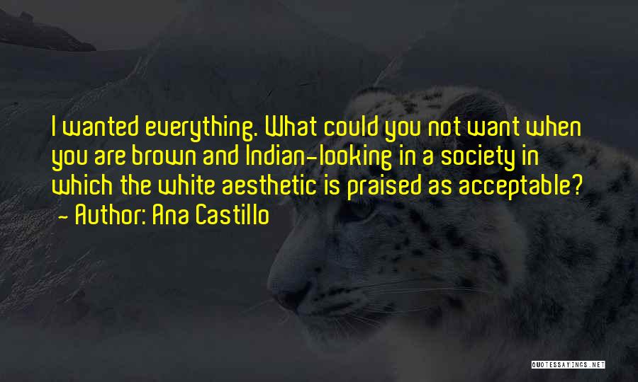 Ana Castillo Quotes: I Wanted Everything. What Could You Not Want When You Are Brown And Indian-looking In A Society In Which The