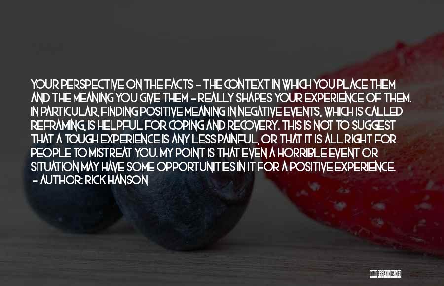 Rick Hanson Quotes: Your Perspective On The Facts - The Context In Which You Place Them And The Meaning You Give Them -